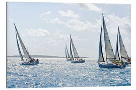 Magnettafel Segelregatta