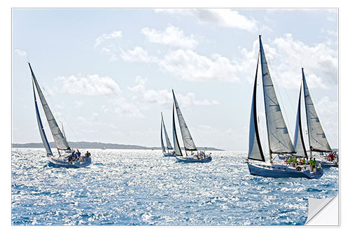 Selvklebende plakat Sailboat regattas