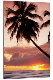 Magnettafel Tropical sunset, Bridgetown, Barbados, West Indies, Caribbean, Central America