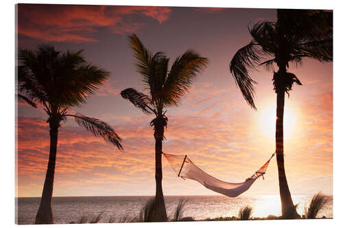 Quadro em acrílico Hammock on the beach, Florida