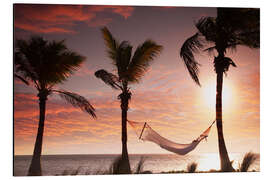 Aluminium print Hammock on the beach, Florida