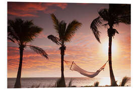 Stampa su PVC Hammock on the beach, Florida