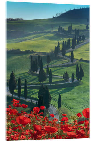 Acrylic print Winding road and poppies, Montichiello, Tuscany