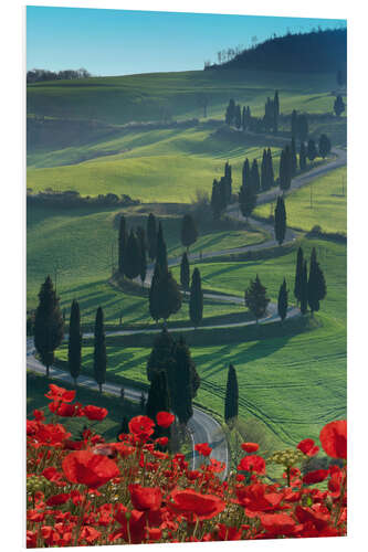 PVC-taulu Winding road and poppies, Montichiello, Tuscany