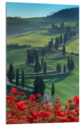 Galleriataulu Winding road and poppies, Montichiello, Tuscany