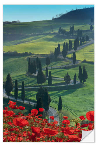 Autocolante decorativo Winding road and poppies, Montichiello, Tuscany