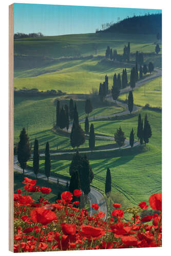 Wood print Winding road and poppies, Montichiello, Tuscany
