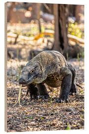 Holzbild Komodowaran