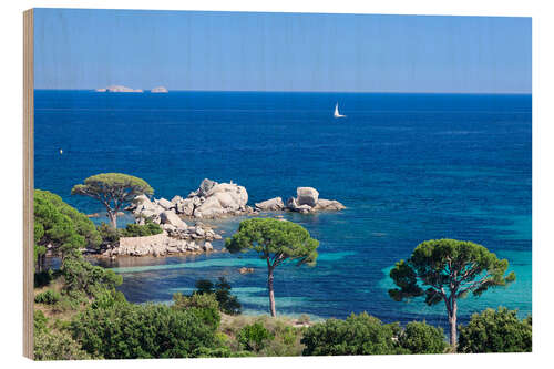 Quadro de madeira Beach of Palombaggia, Corsica