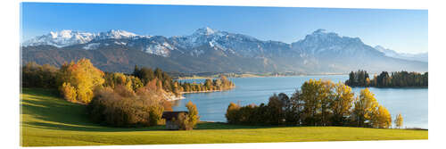 Acrylglas print Lake Forggensee and the Alps