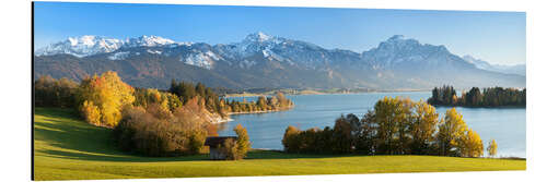 Aluminium print Lake Forggensee and the Alps