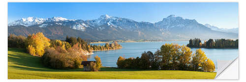 Muursticker Lake Forggensee and the Alps