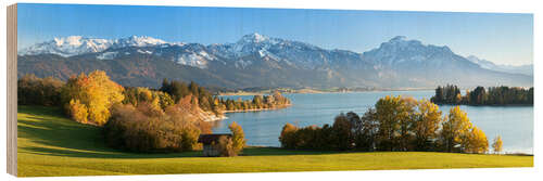 Obraz na drewnie Lake Forggensee and the Alps