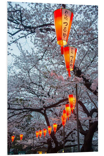 Tableau en PVC Lanternes rouges entre les cerisiers en fleurs dans le parc Ueno, Tokyo, Japon, Asie