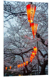 Obraz na PCV Red lanterns illuminating the cherry blossom in the Ueno Park, Tokyo, Japan, Asia