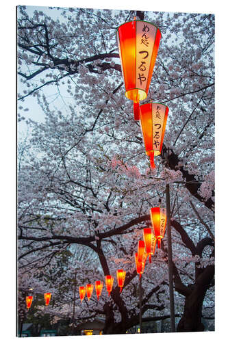 Tableau en plexi-alu Lanternes rouges entre les cerisiers en fleurs dans le parc Ueno, Tokyo, Japon, Asie