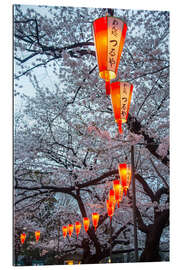 Gallery print Red lanterns illuminating the cherry blossom in the Ueno Park, Tokyo, Japan, Asia