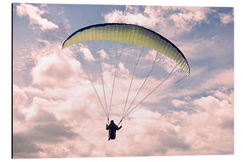 Aluminium print Paragliding