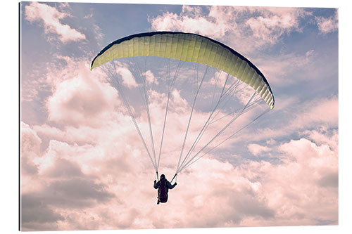 Gallery print Paragliding