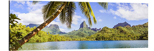 Cuadro de aluminio Opunohu Bay, Moorea, Tahiti