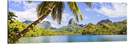 Aluminiumsbilde Opunohu Bay, Moorea, Tahiti