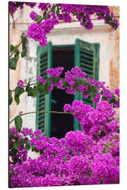 Aluminium print Shuttered window and blossom