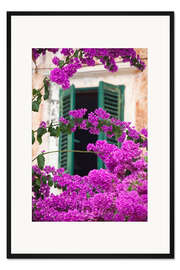 Gerahmter Kunstdruck Blüten vor alten Fensterläden