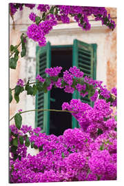 Tableau en plexi-alu Fleurs et fenêtre à volets anciens