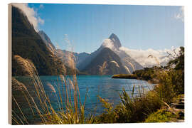 Holzbild Mitre Peak, Milford Sound