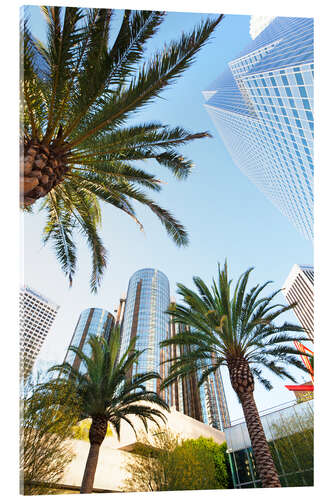 Akryylilasitaulu Palm trees in Los Angeles
