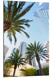 Aluminium print Palm trees in Los Angeles