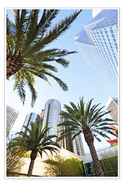 Veggbilde  Palm trees in Los Angeles - Gavin Hellier
