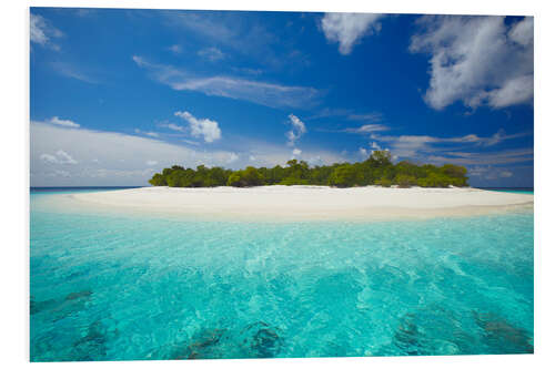 Foam board print Uninhabited island, Maldives