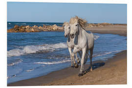 Foam board print Camargue horses on the beach