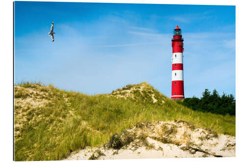 Gallery print Amrum Lighthouse