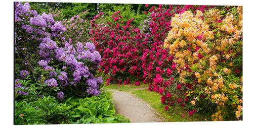 Quadro em alumínio Flower Garden