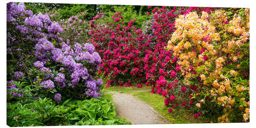 Canvas print Flower Garden