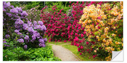 Selvklebende plakat Flower Garden