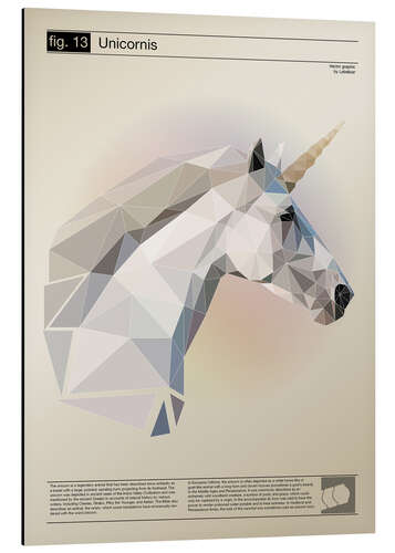 Aluminium print fig13 Polygoneinhorn Poster