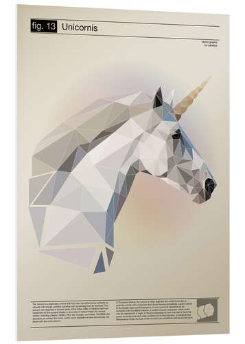 Quadro em PVC fig13 Polygoneinhorn Poster