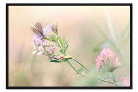 Gerahmter Kunstdruck Leiden im Stillen