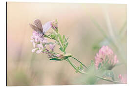 Magnettafel Leiden im Stillen