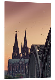 Tableau en verre acrylique  Ciel rose et oiseaux sur la cathédrale de Cologne - euregiophoto