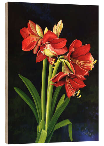 Holzbild Amaryllis