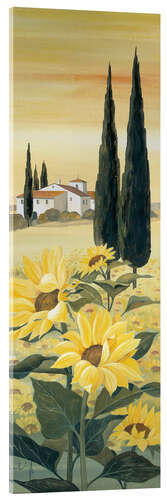 Acrylglas print Southern sun I