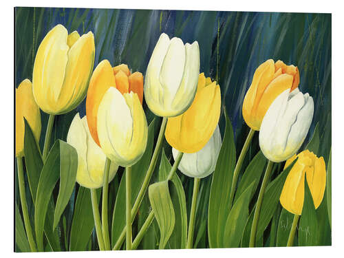 Aluminium print Tulips