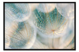 Gerahmter Kunstdruck Lichtfänger IV