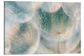 Magnettafel Lichtfänger IV