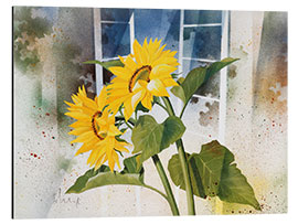 Aluminium print Sunflowers