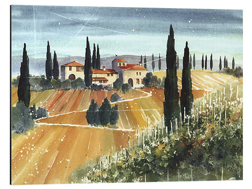 Obraz na aluminium Near Lucca II